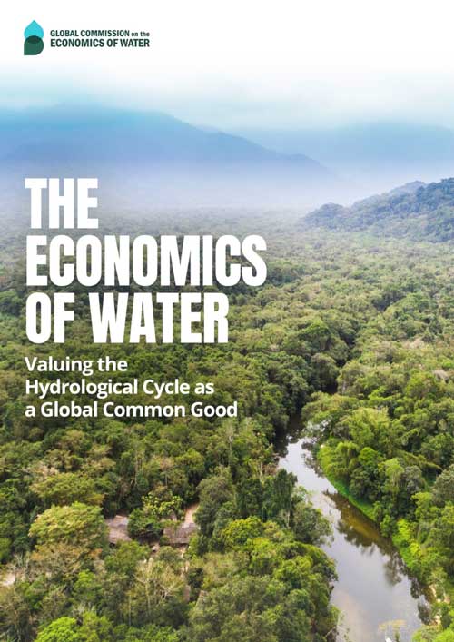 The economics of water: Valuing the global hydrological cycle as a global common good